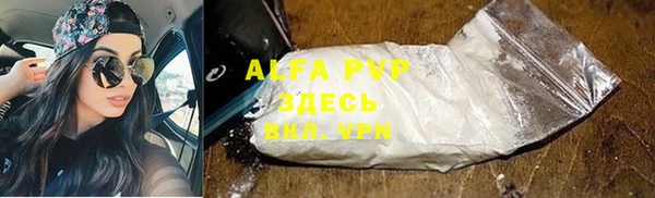 ПСИЛОЦИБИНОВЫЕ ГРИБЫ Богданович