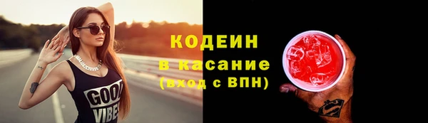 ПСИЛОЦИБИНОВЫЕ ГРИБЫ Богданович