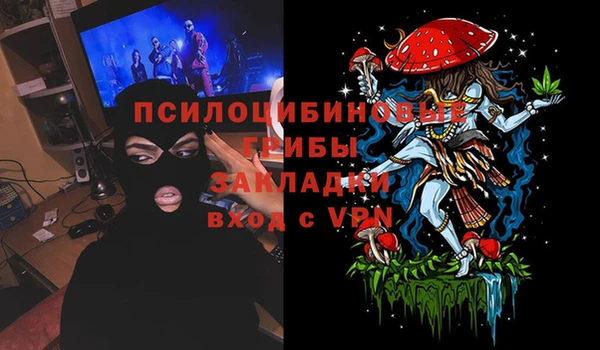 ПСИЛОЦИБИНОВЫЕ ГРИБЫ Богданович