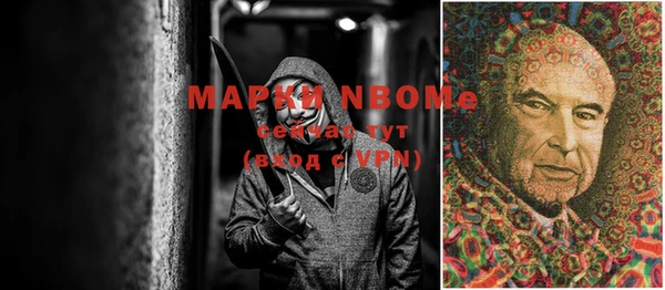 ПСИЛОЦИБИНОВЫЕ ГРИБЫ Богданович