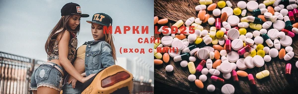 ПСИЛОЦИБИНОВЫЕ ГРИБЫ Богданович